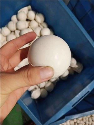 Bola Karet 25mm Untuk Mesin Cuci Pasir